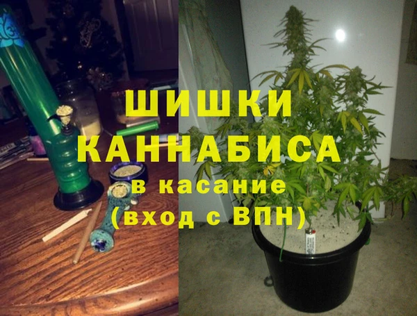 PSILOCYBIN Арсеньев