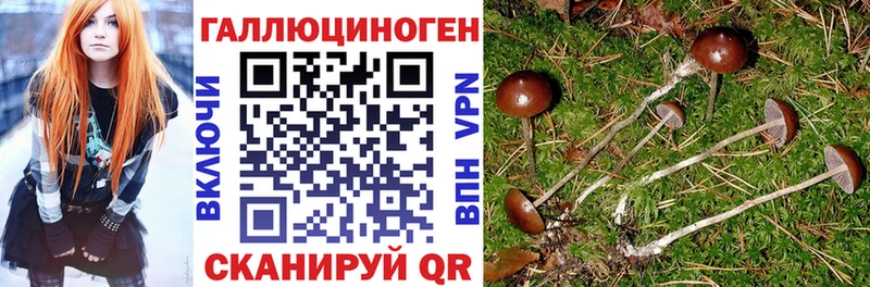 Псилоцибиновые грибы мицелий  Лабинск 